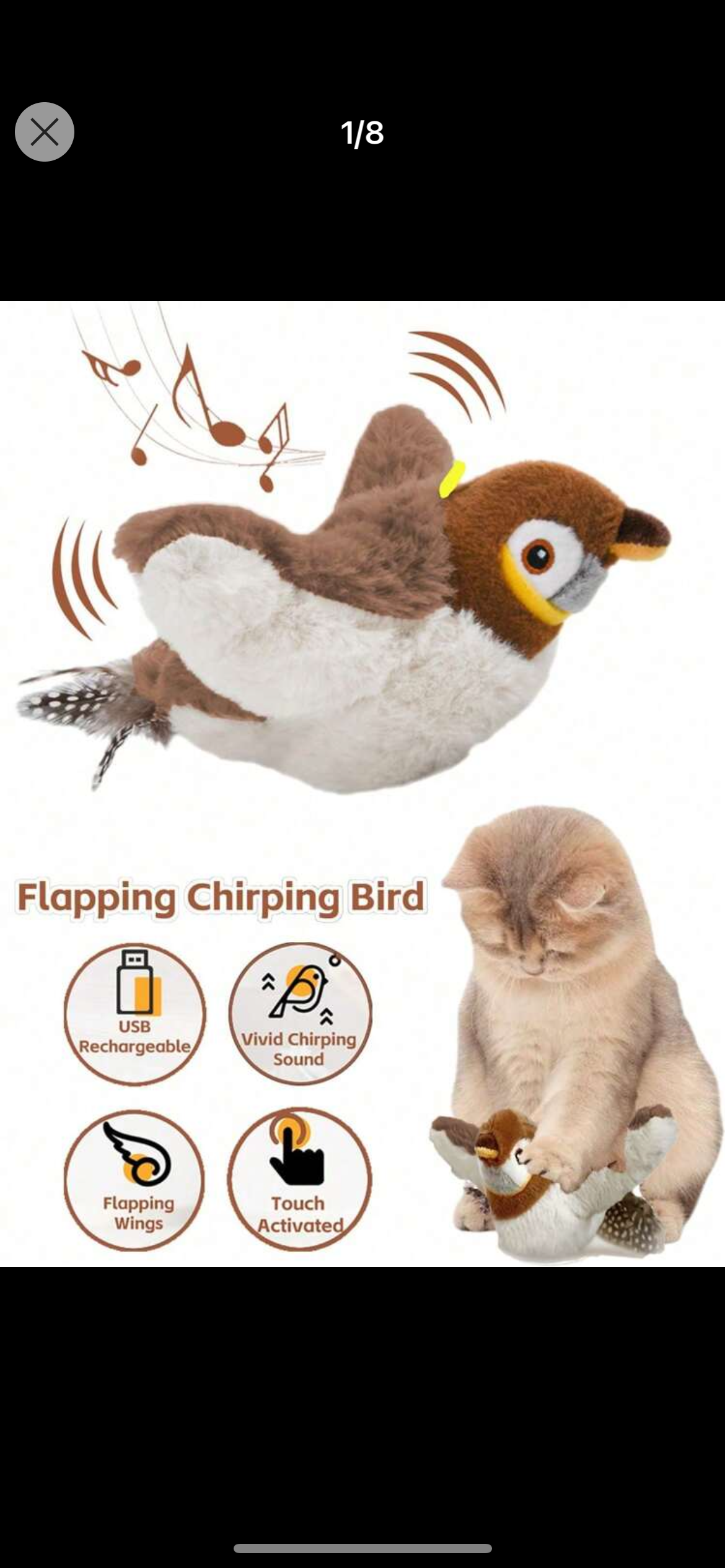 Flapi Bird